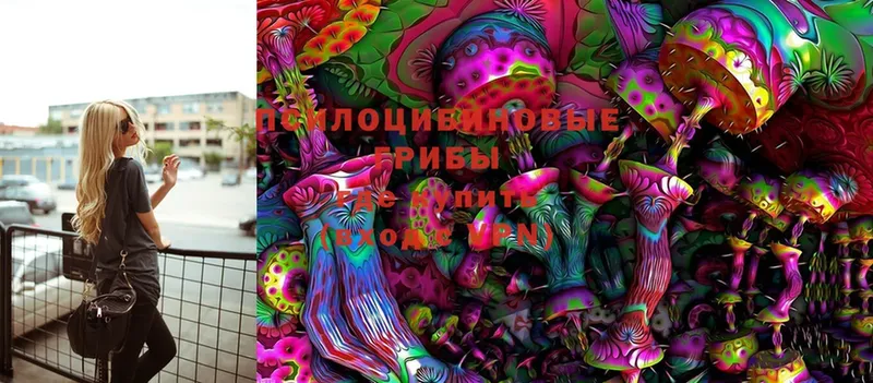 Галлюциногенные грибы Cubensis  цены наркотик  Болгар 